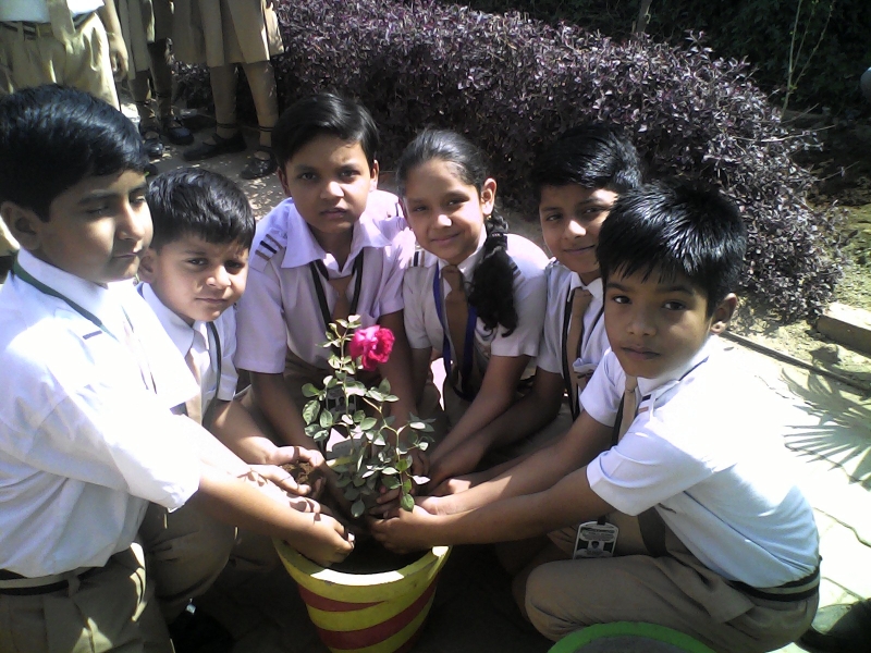 project